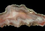 Polished Pilbara Agate Slab - Australia #65684-1